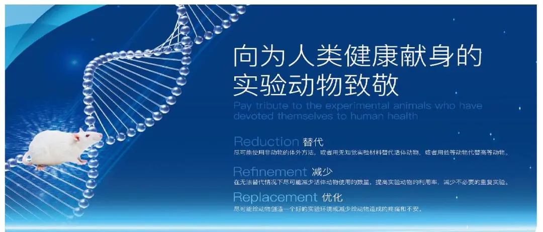 喜讯！浙江鹰旸医药研发有限公司获批《实验动物使用许可证》