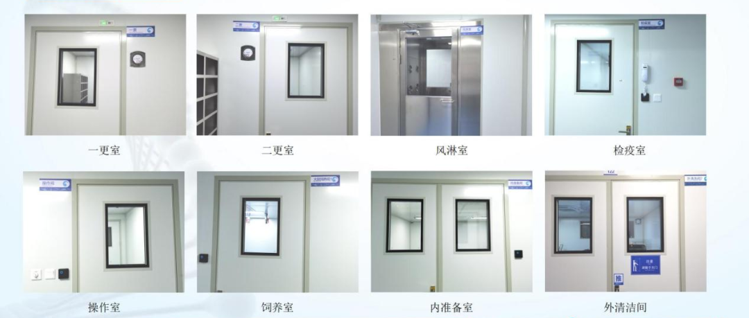 喜讯!浙江鹰旸医药研发有限公司获批《实验动物使用许可证》 喜讯!浙江鹰旸医药研发有限公司获批《实验动物使用许可证》