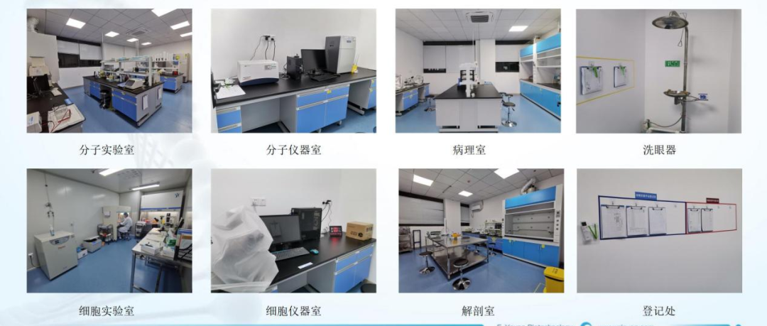 喜讯!浙江鹰旸医药研发有限公司获批《实验动物使用许可证》 喜讯!浙江鹰旸医药研发有限公司获批《实验动物使用许可证》