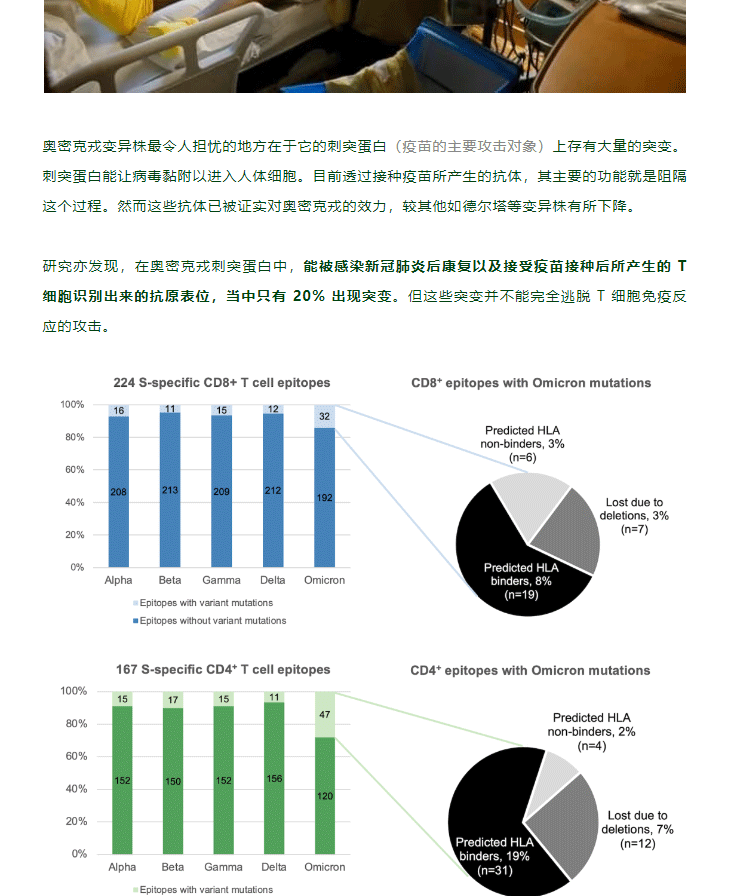 香港科大研究显示：人体 T 细胞免疫反应可有效应对奥密克戎