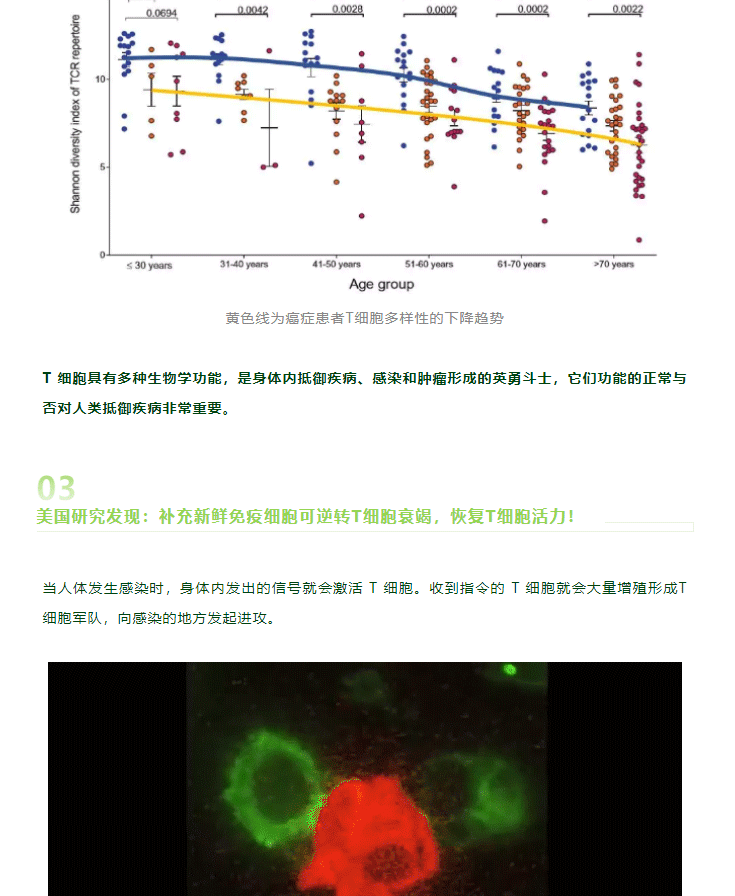 香港科大研究显示：人体 T 细胞免疫反应可有效应对奥密克戎