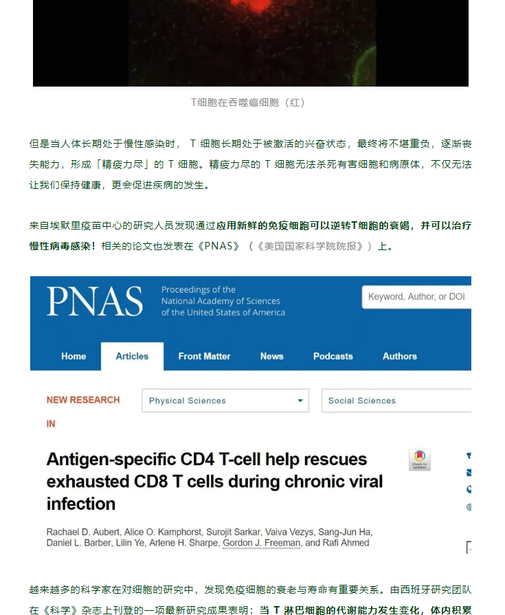 香港科大研究显示：人体 T 细胞免疫反应可有效应对奥密克戎