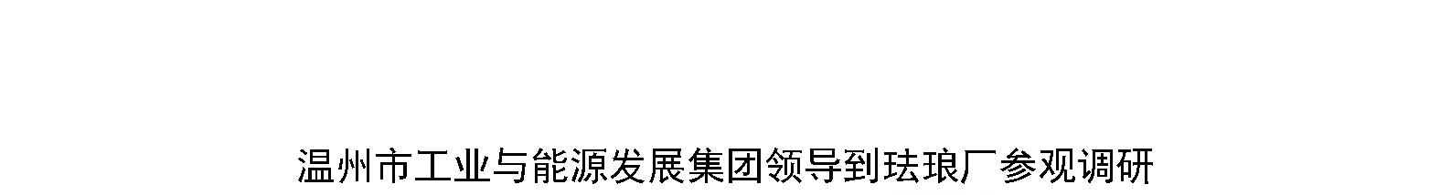 温州市工业与能源发展集团领导到珐琅厂参观调研