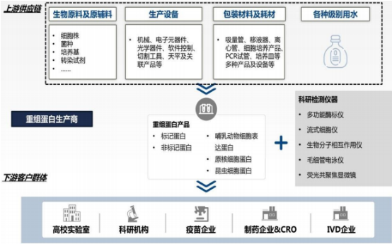 2022年重组蛋白试剂行业市场产业结构发展趋势分析及竞争规模格局研究预测