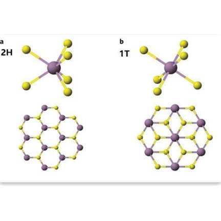 二硫化钼MoS2双层单晶片层