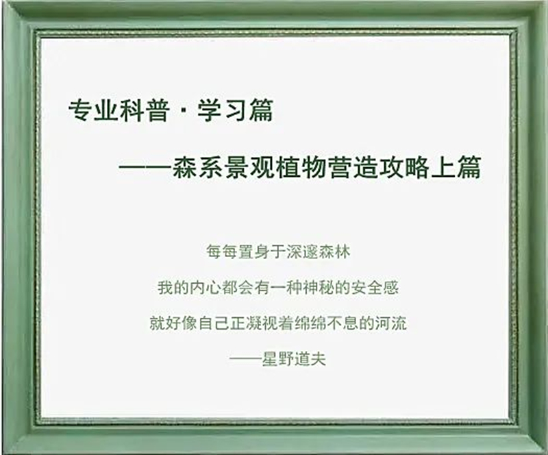 【景立方绿皮书】第二期|森系景观植物营造攻略上篇 【景立方绿皮书】第二期|森系景观植物营造攻略上篇