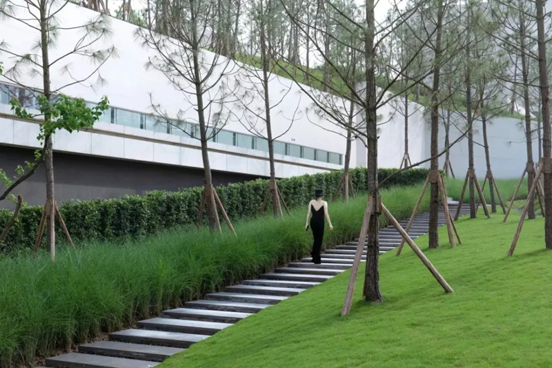 【景立方绿皮书】第二期|森系景观植物营造攻略上篇 【景立方绿皮书】第二期|森系景观植物营造攻略上篇