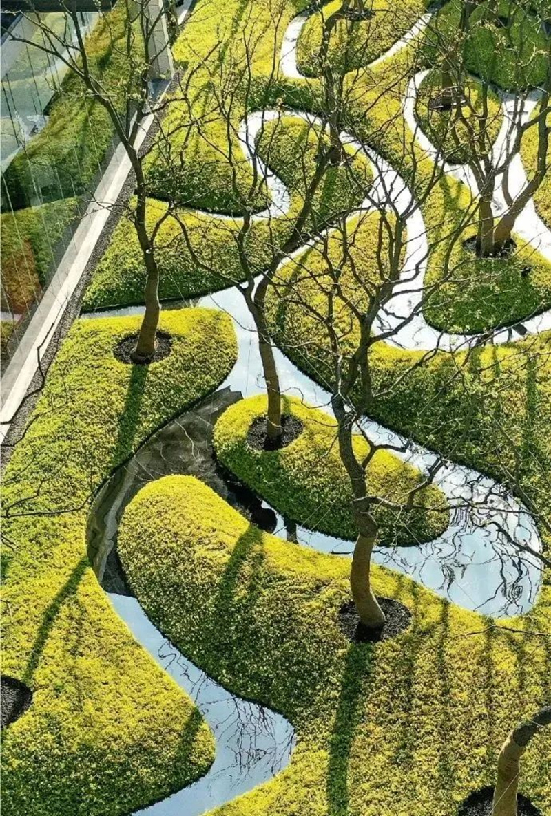 【景立方绿皮书】第二期|森系景观植物营造攻略上篇 【景立方绿皮书】第二期|森系景观植物营造攻略上篇