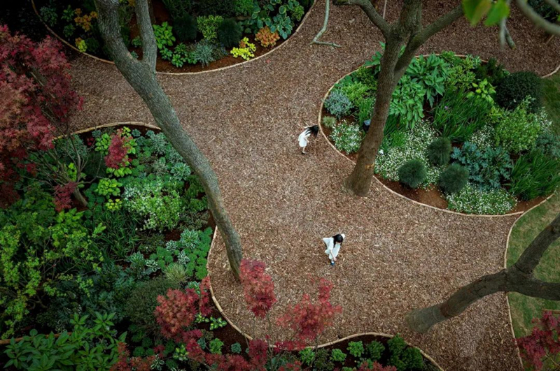 【景立方绿皮书】第二期|森系景观植物营造攻略上篇 【景立方绿皮书】第二期|森系景观植物营造攻略上篇
