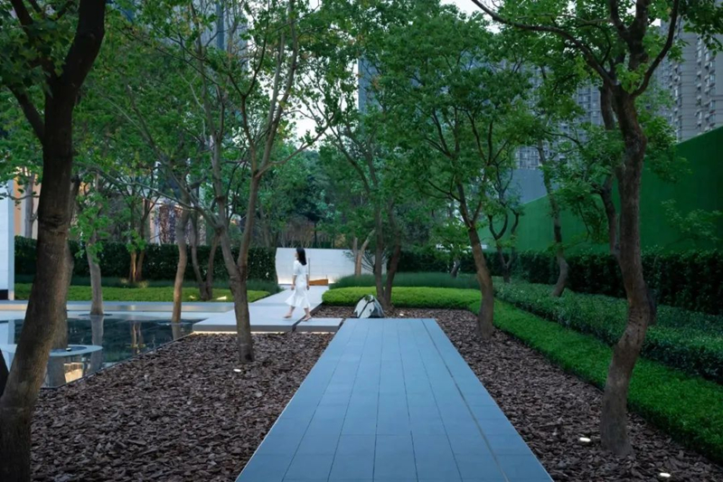 【景立方绿皮书】第二期|森系景观植物营造攻略上篇 【景立方绿皮书】第二期|森系景观植物营造攻略上篇