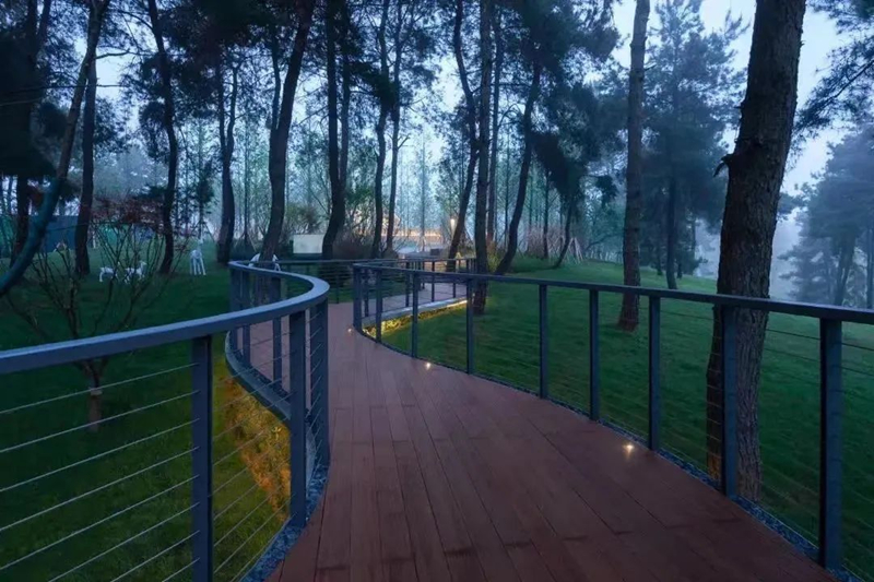 【景立方绿皮书】第二期|森系景观植物营造攻略上篇 【景立方绿皮书】第二期|森系景观植物营造攻略上篇