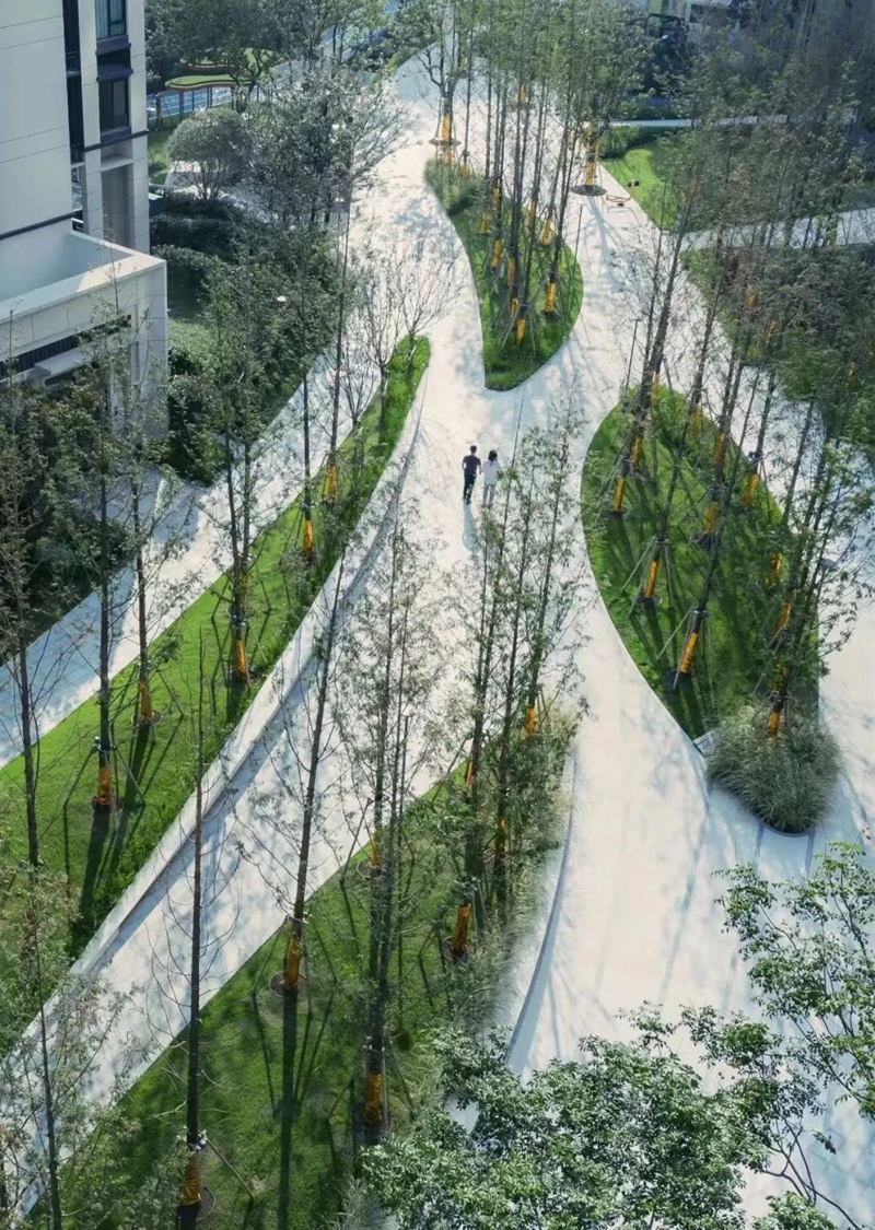 【景立方绿皮书】第二期|森系景观植物营造攻略上篇 【景立方绿皮书】第二期|森系景观植物营造攻略上篇