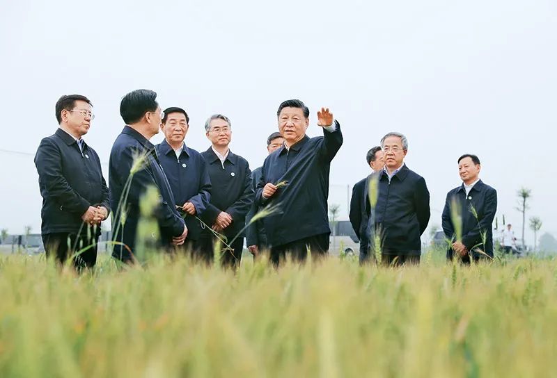 坚持把解决好“三农”问题作为全党工作重中之重 举全党全社会之力推动乡村振兴 坚持把解决好“三农”问题作为全党工作重中之重 举全党全社会之力推动乡村振兴