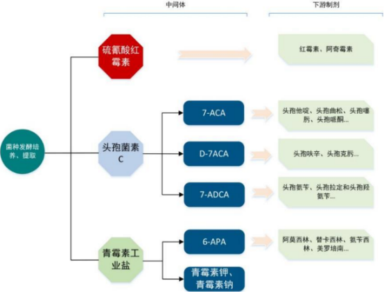 2022年抗生素中间体行业市场发展规模情况预测及细分产品供需格局分析