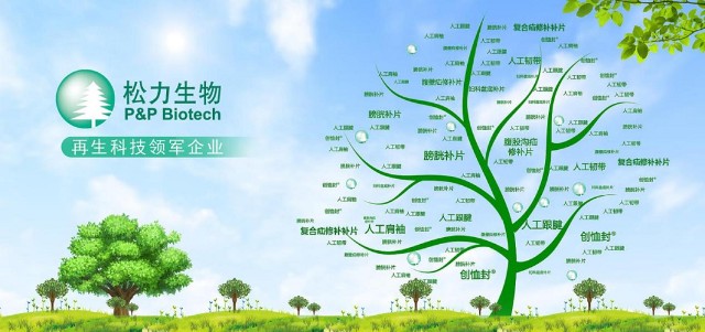 北京、佛山、宁波三地肩袖撕裂修复项目启动,松力生物填补空缺 北京、佛山、宁波三地肩袖撕裂修复项目启动,松力生物填补空缺