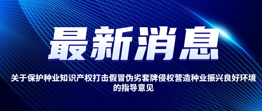关于保护种业知识产权打击假冒伪劣套牌侵权营造种业振兴良好环境的指导意见
