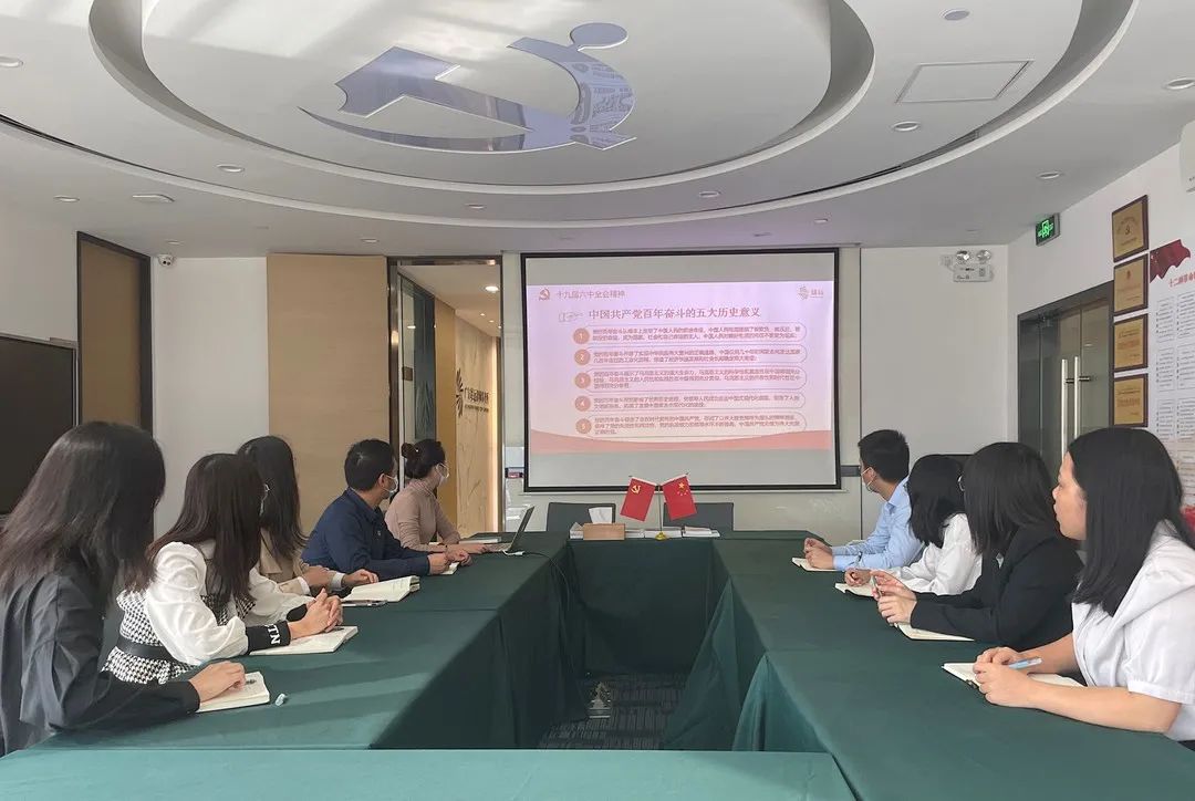 雄远党建 | 雄远所党支部召开党的十九届六中全会精神专题学习会