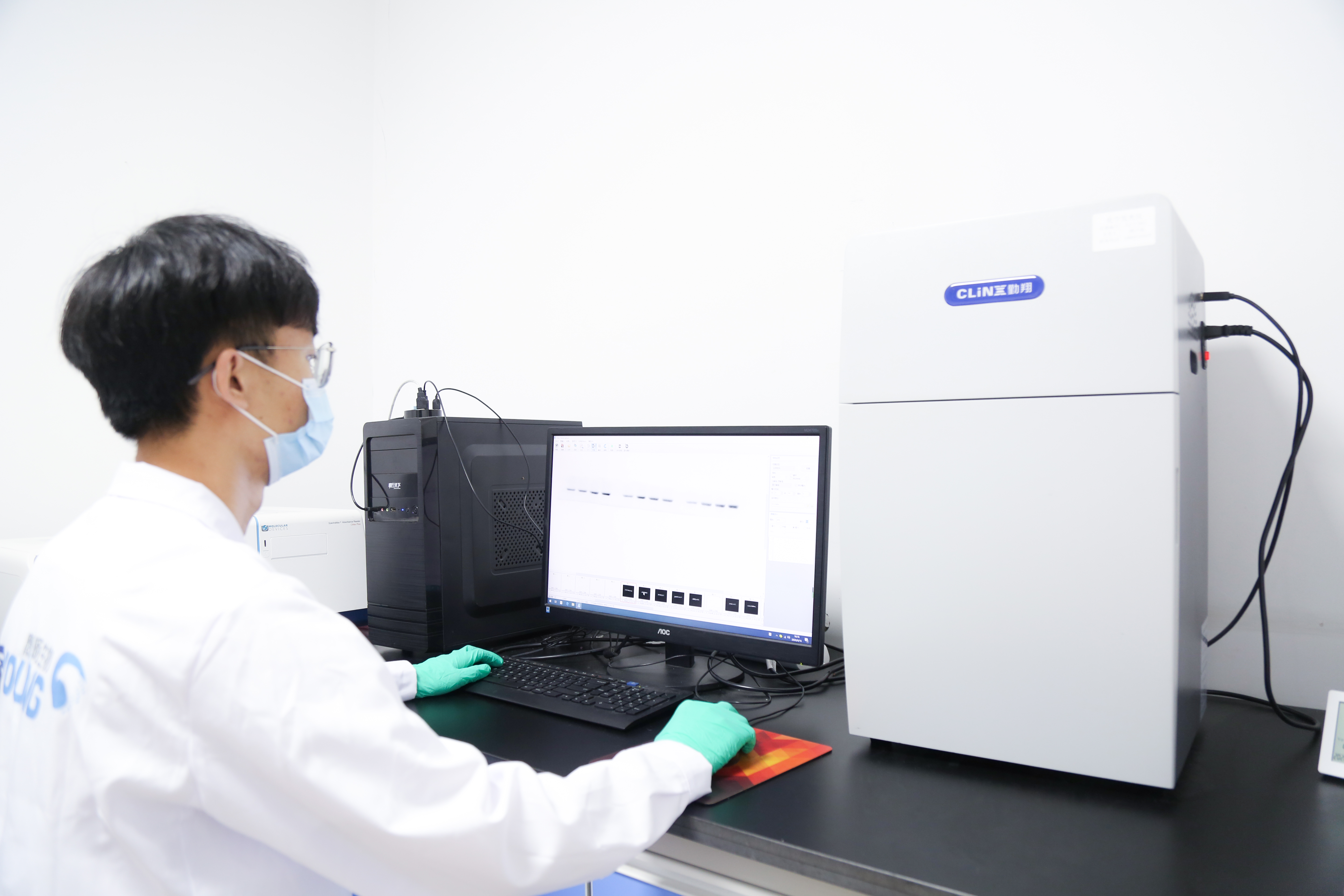 分子生物学实验服务