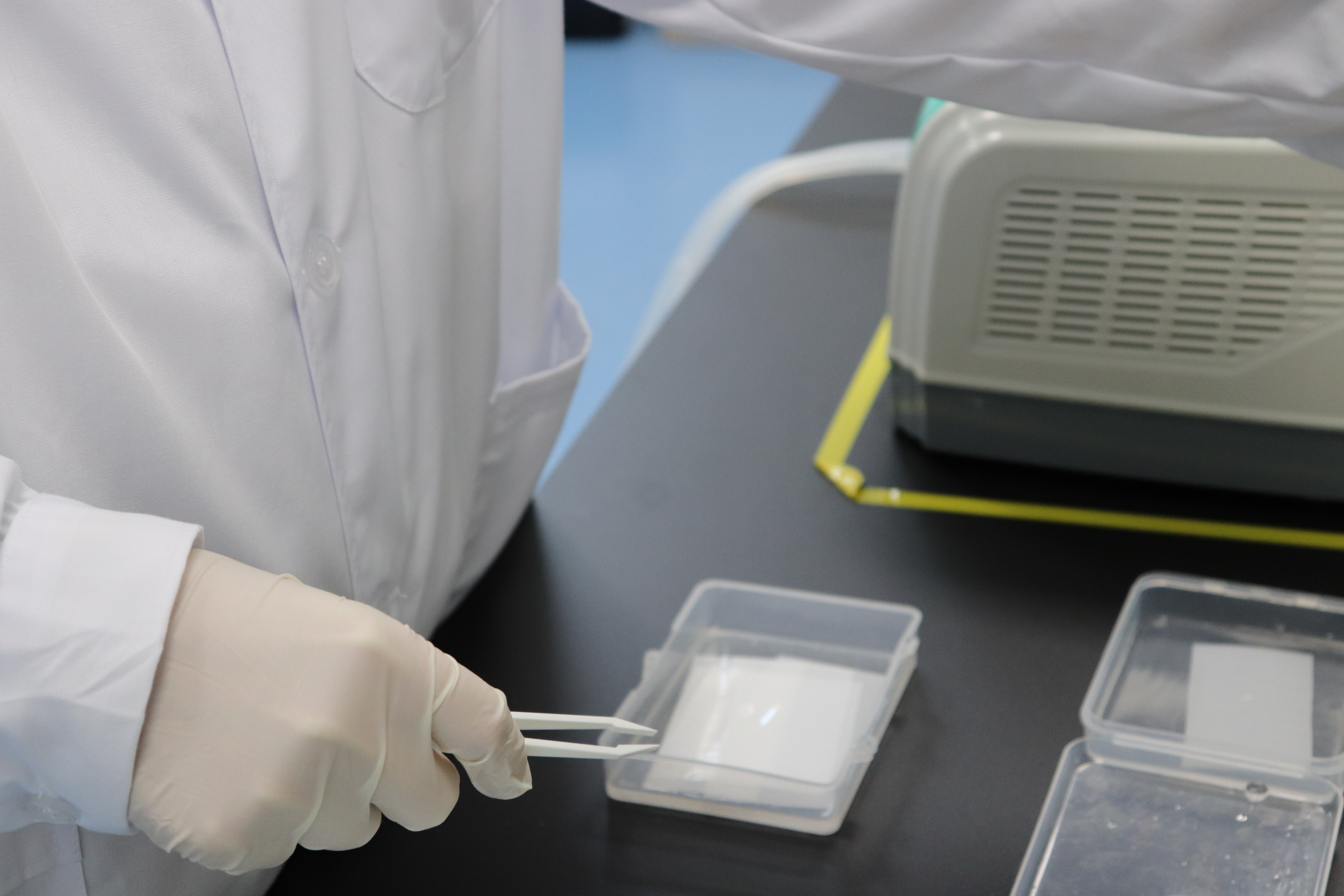 分子生物学实验服务