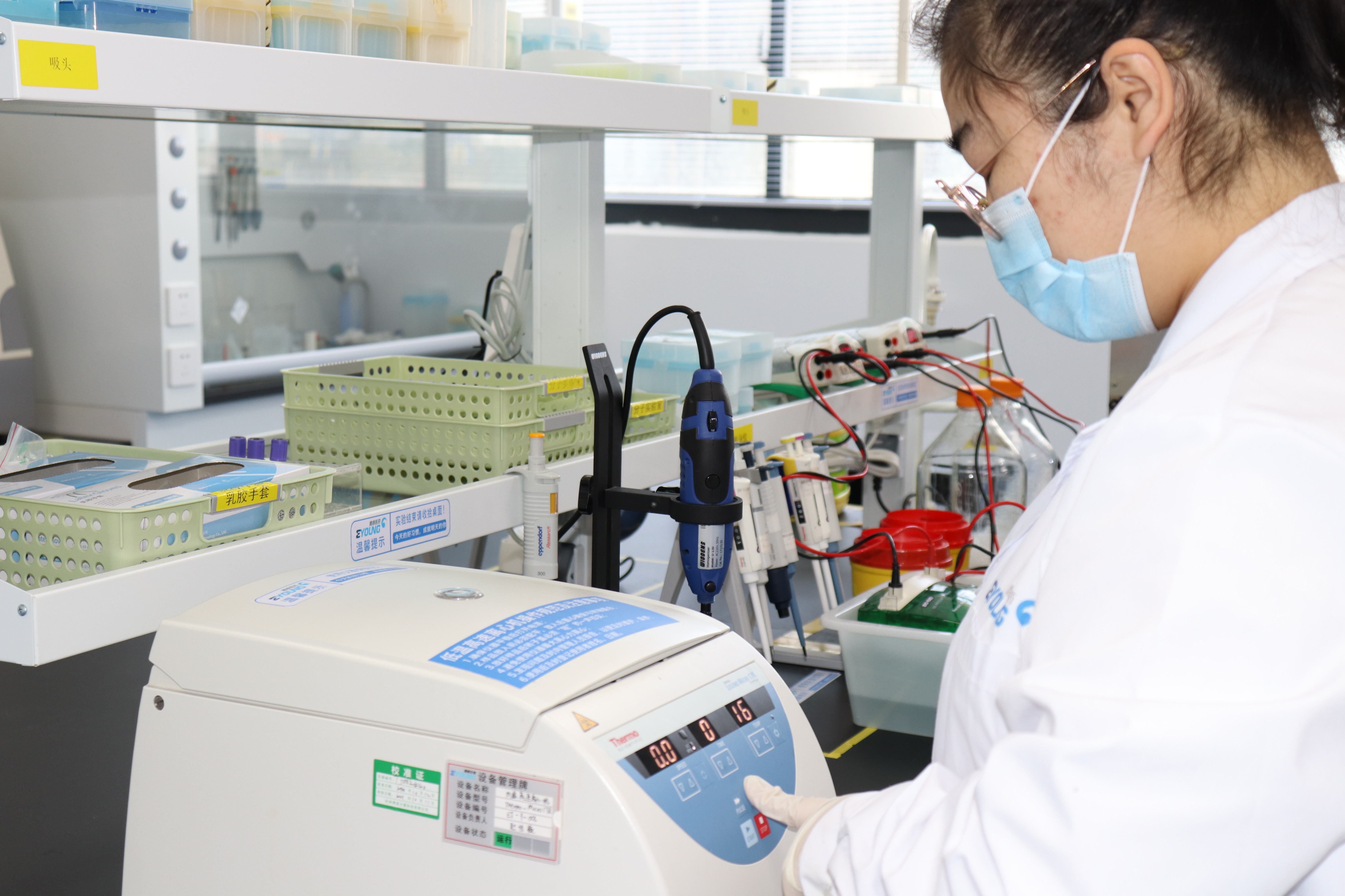 分子生物学实验服务