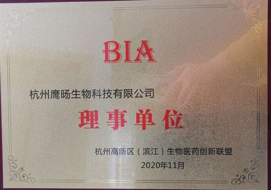 荣誉资质