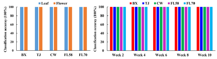  Resonon | Application of Resonon Pika XC2