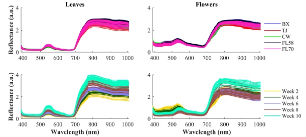  Resonon | Application of Resonon Pika XC2