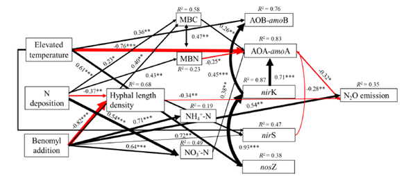 Arbuscular mycorrhizal fungi alleviate elevated temperature and nitrogen deposition- induced warming