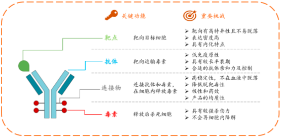 2022年蛋白质交联剂行业发展战略规划指导及投资规模评估咨询预测