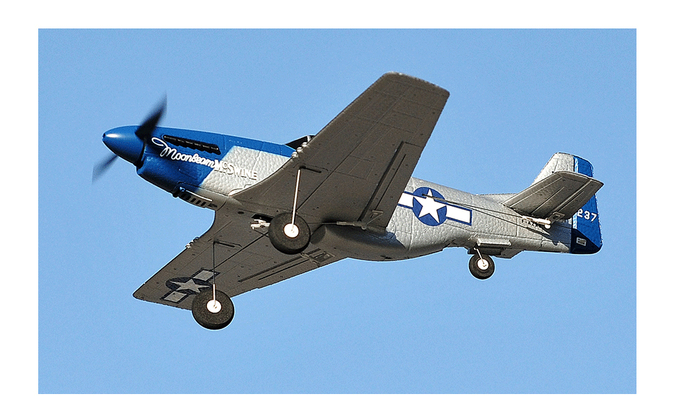 TOP RC HOBBY 450MM MINI P51D