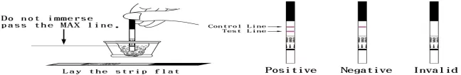 Ovulation Test kit