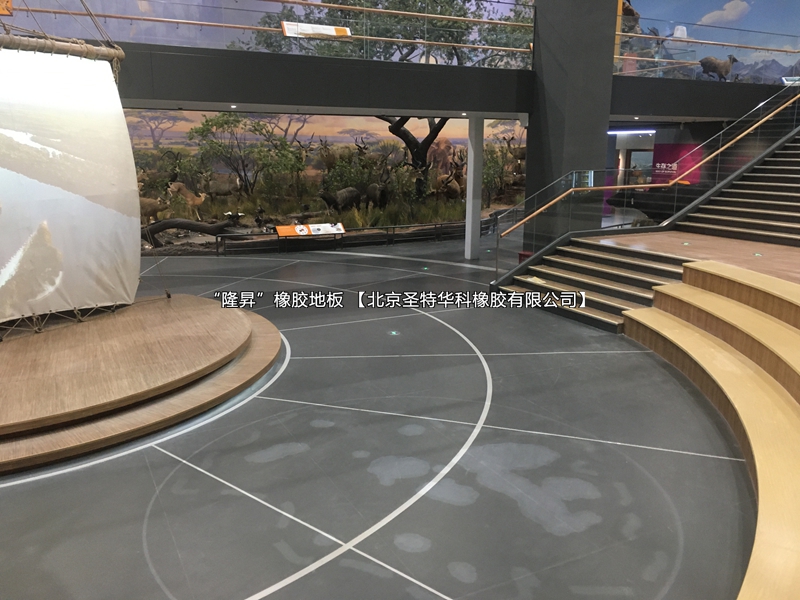 河南省郑州新科技馆橡胶地板案例实图