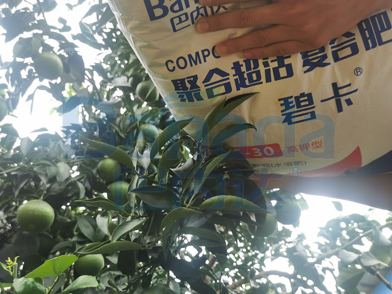 水溶肥品質高，但為啥還是沒有效果？