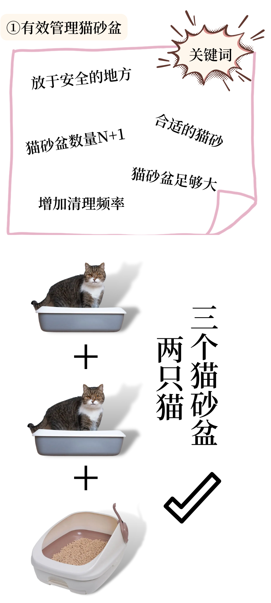 口炎猫咪的居家管理