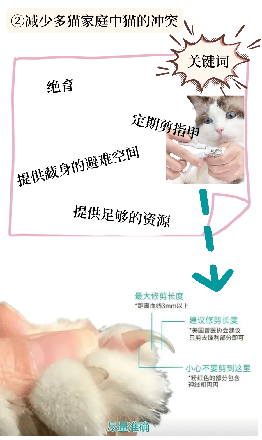 口炎猫咪的居家管理