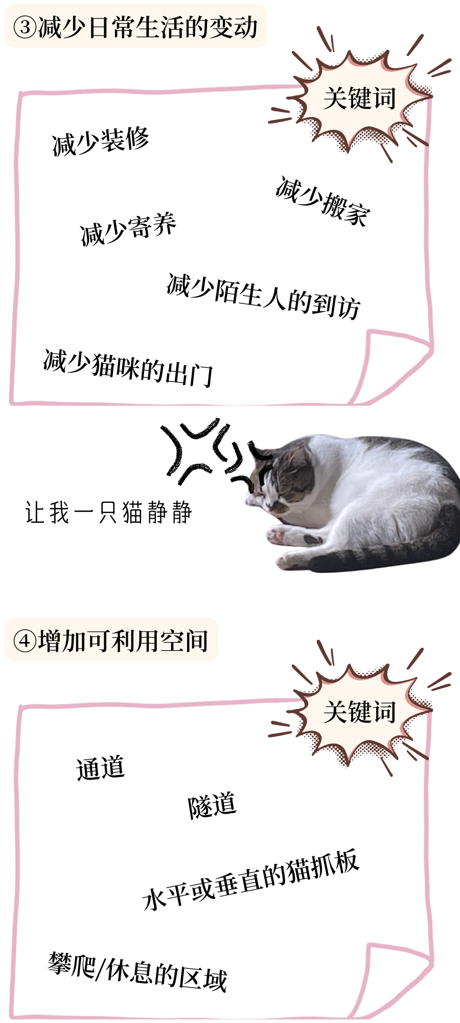 口炎猫咪的居家管理