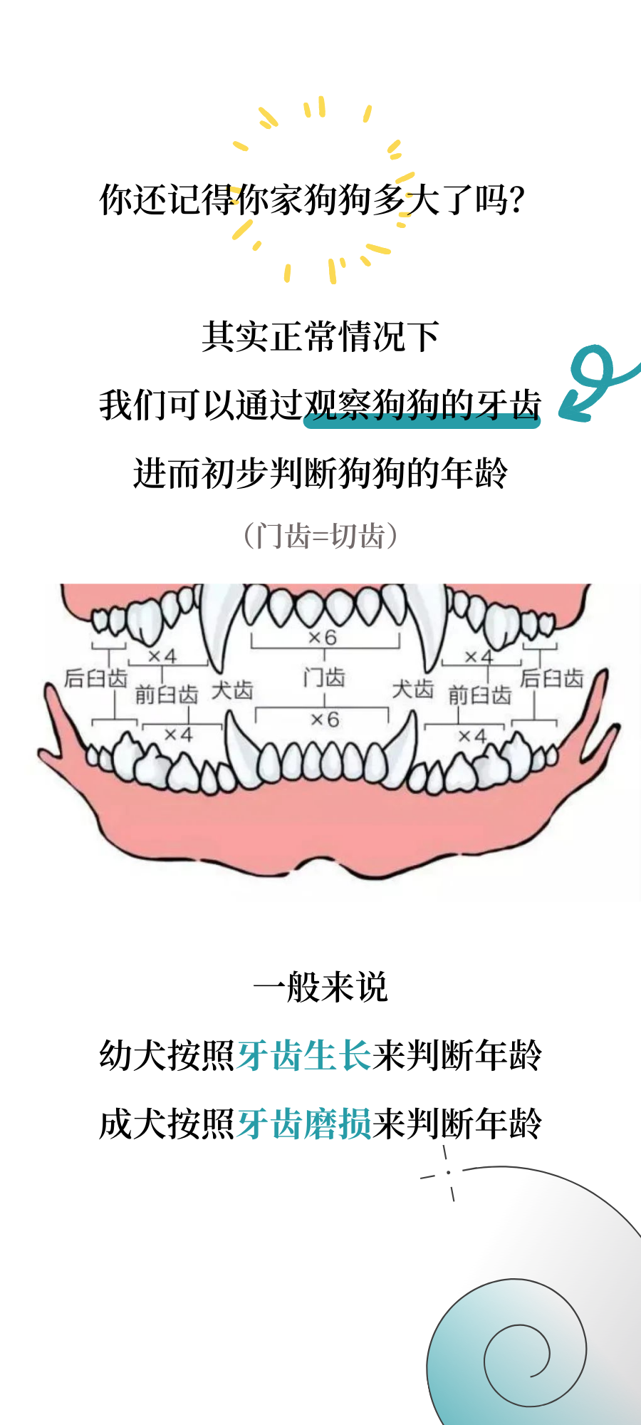 总有一些狗，不爱刷牙