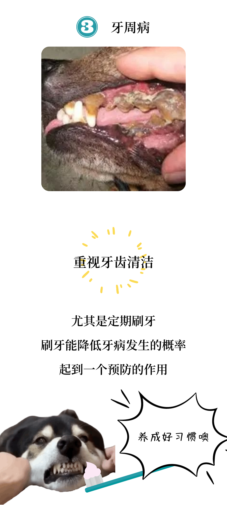 总有一些狗，不爱刷牙