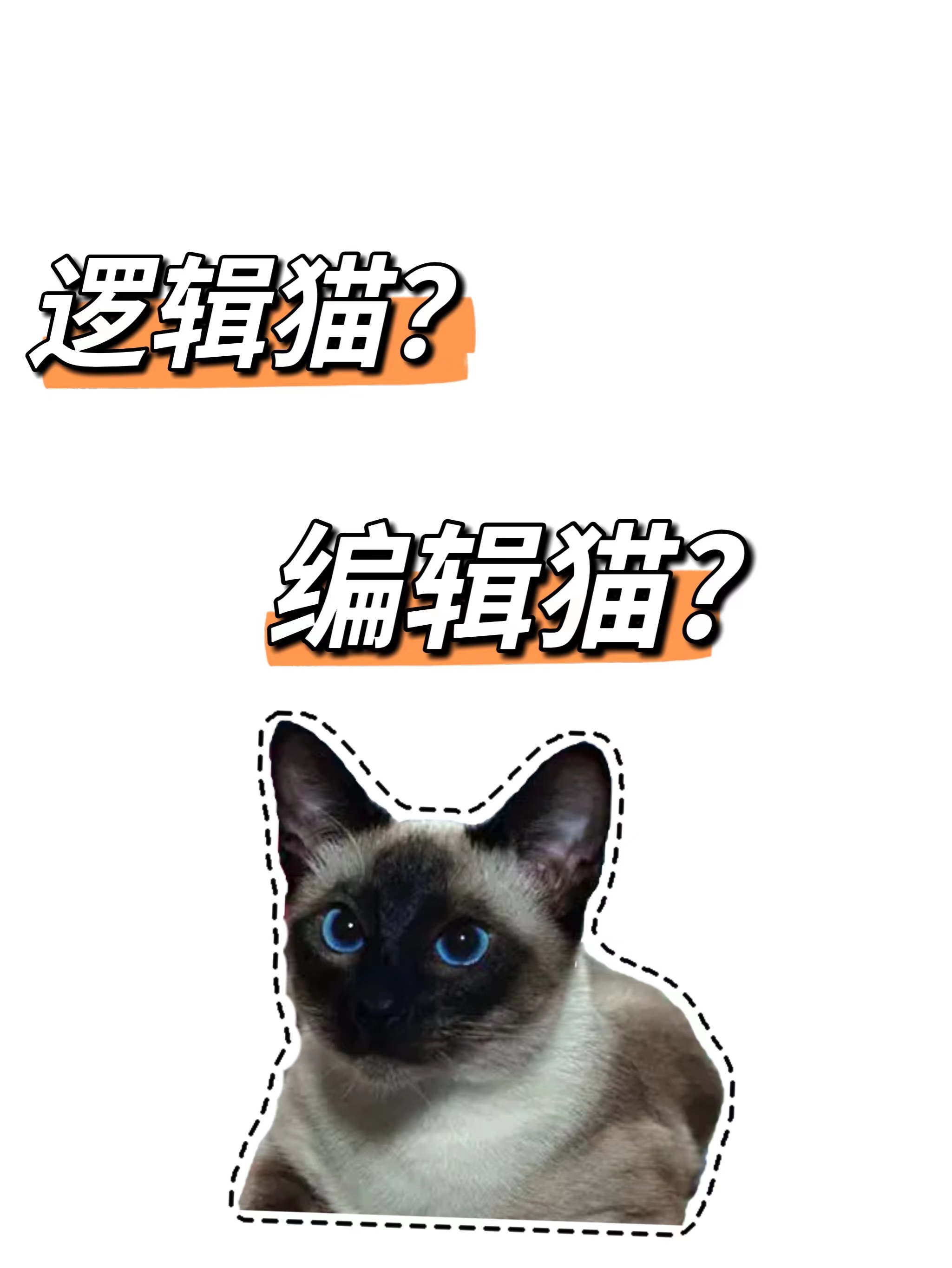 “逻辑猫”是什么猫？