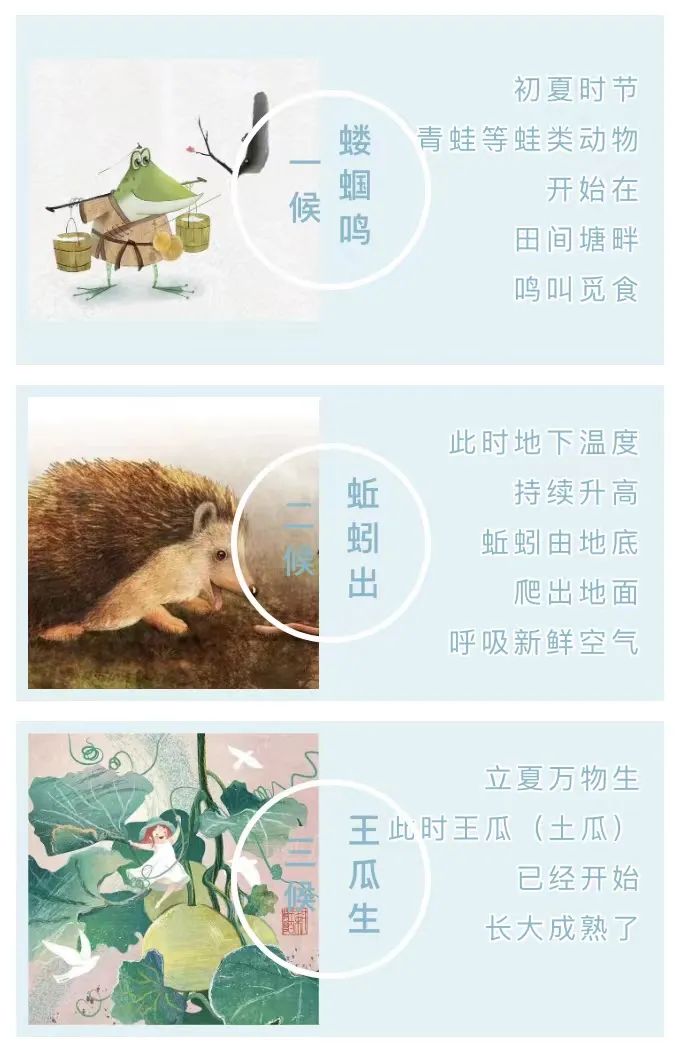 立夏 | 夏日伊始 萬物并秀 立夏 | 夏日伊始 萬物并秀