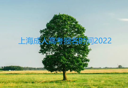 上海成人高考报名时间2022已更新【今日/更新】