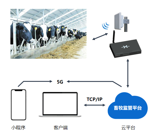 RFID畜牧耳标智能管理方案