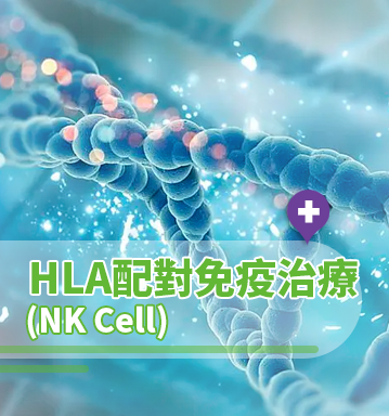 HLA配對免疫治療 (NK Cell) -  (預約諮詢)