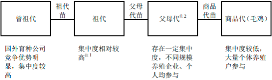 2022年肉禽行业上下游产业链市场政策环境分析及消费规模结构研究预测