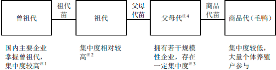 2022年肉禽行业上下游产业链市场政策环境分析及消费规模结构研究预测
