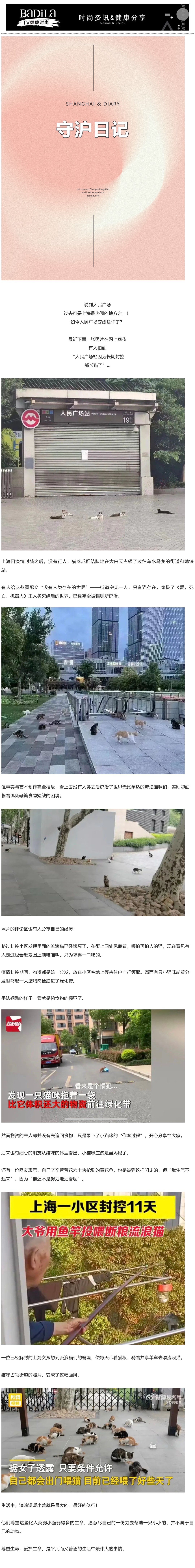 【守沪日记 】“人民广场都长猫了” 滴滴小善就是最大的修行