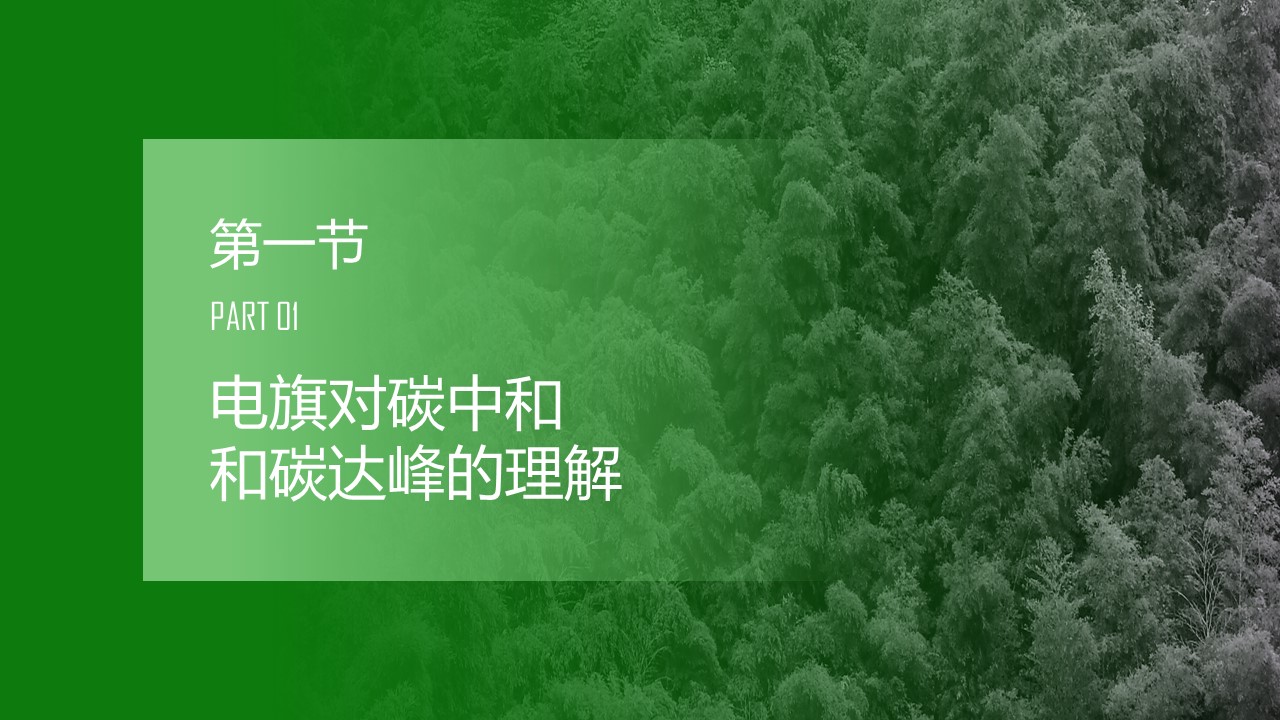 碳排放行动计划-北京电旗