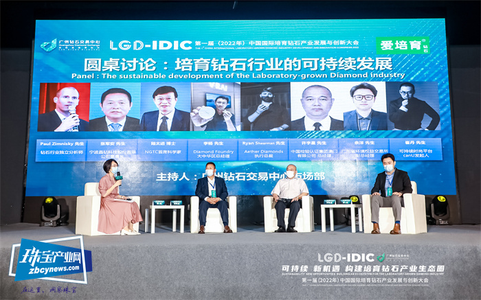 首届中国国际培育钻石产业发展与创新大会举行