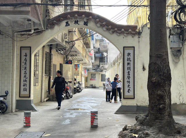 幸福在家门口升温!赤坎老旧小区“改”出新面貌,“造”出新气象 幸福在家门口升温!赤坎老旧小区“改”出新面貌,“造”出新气象