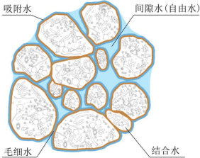 2022年城市污泥处理行业市场规模潜力研究及项目必要性可行性评估预测